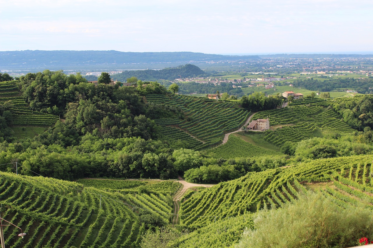 Enoturismo in Veneto: un viaggio sensoriale