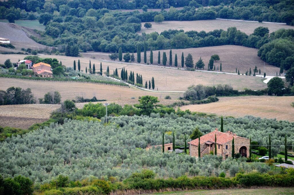 L'arte dell'enogastronomia in Toscana: ricette tipiche e vini locali