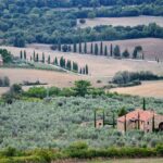 L'arte dell'enogastronomia in Toscana: ricette tipiche e vini locali