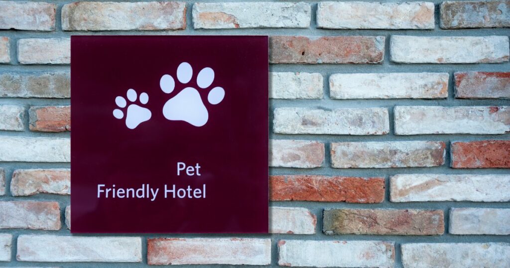 turismo pet friendly Italia