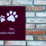 turismo pet friendly Italia