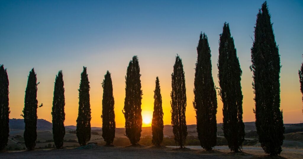 Val d'Orcia tramonto