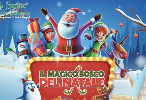 Il Magico Bosco del Natale 2024 a Cassino: l'evento