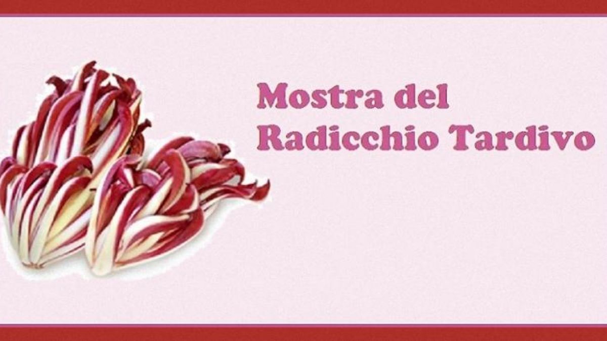 Mostra del Radicchio Tardivo 2024 a Martellago