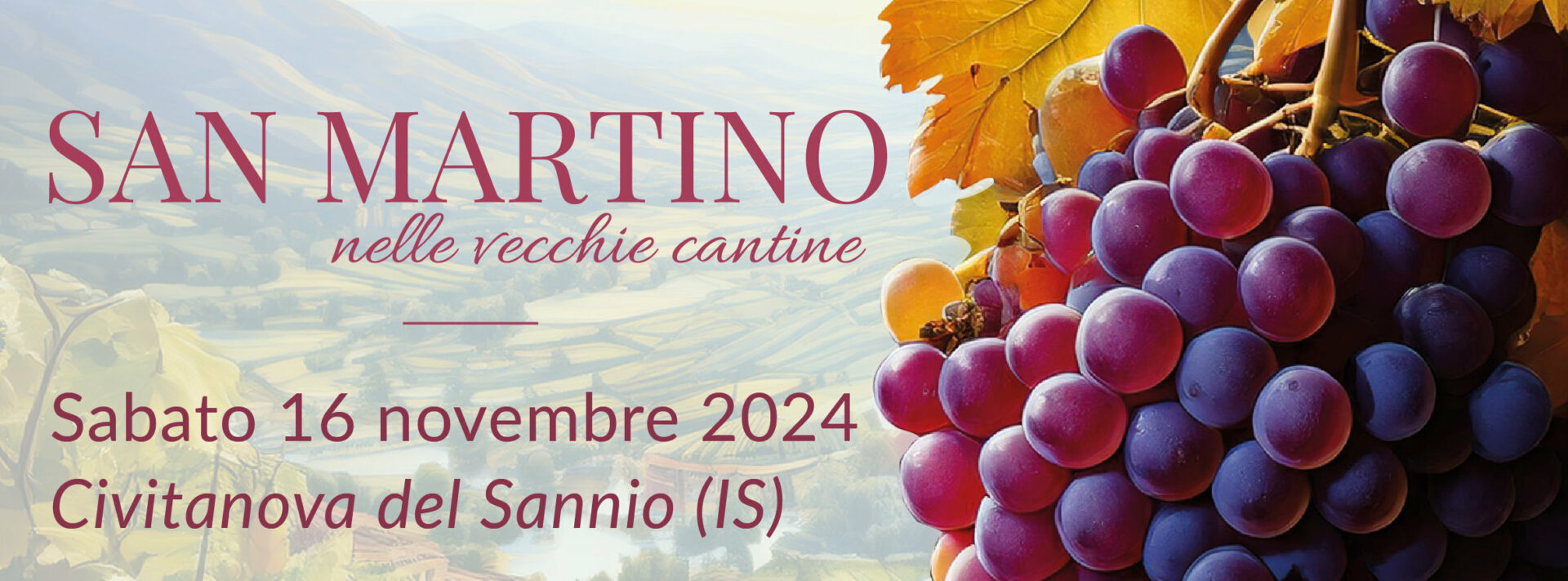 San Martino nelle Vecchie Cantine 2024