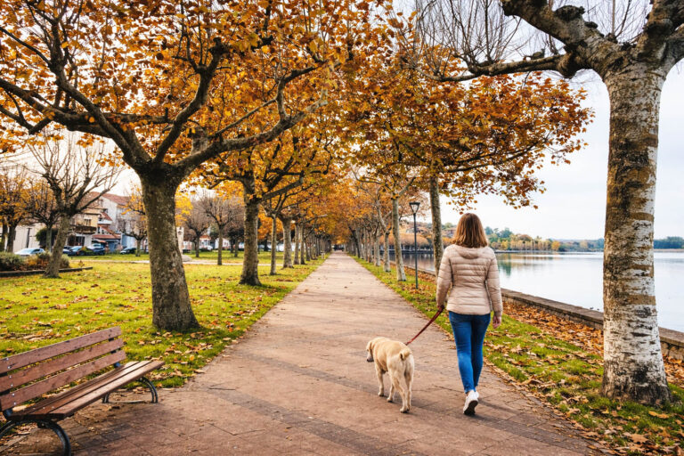Il Lago di Bolsena per un weekend pet-friendly