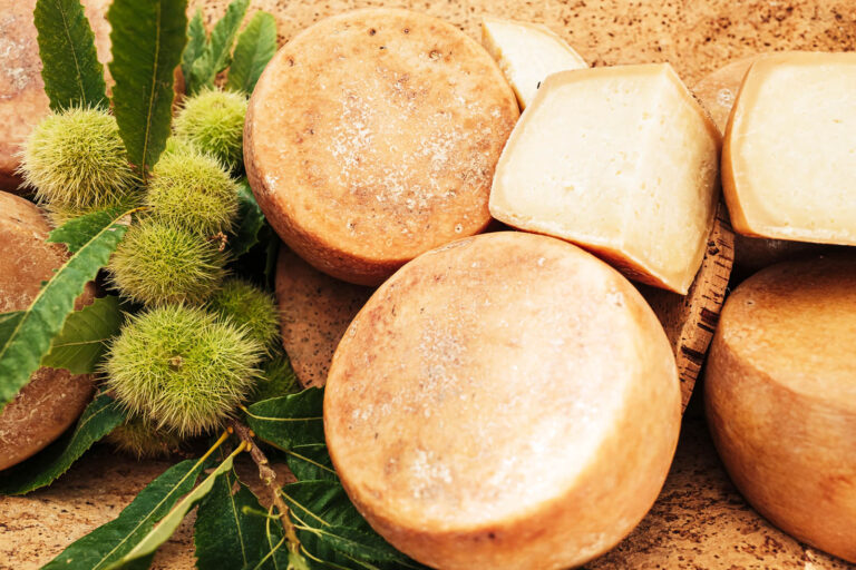 Forme di Pecorino Sardo DOP intere e tagliate su tavolo rustico con ricci di castagno
